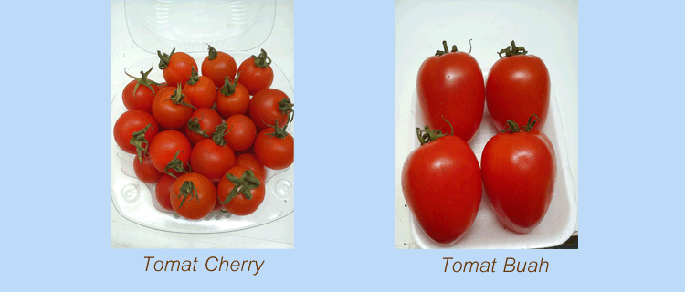 Slideshow2 Image 3