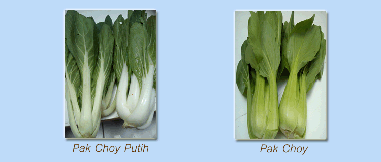 Slideshow2 Image 4
