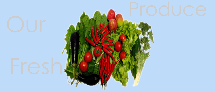 Slideshow2 Image 4